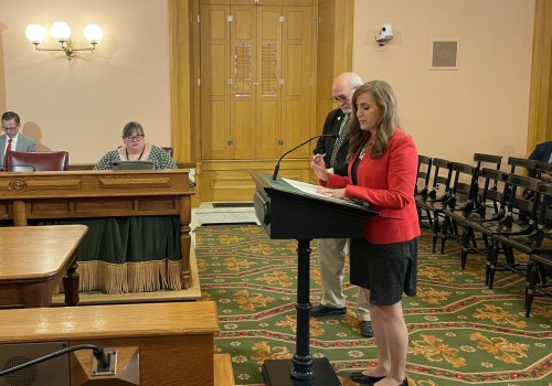 The Impact of Local Media Outlets on Election Campaigns in Northeast Ohio: An Expert's Perspective